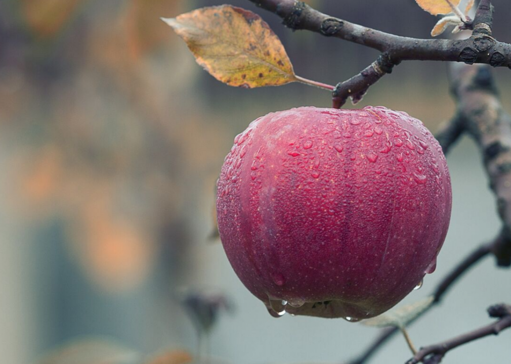 Organic profits throughout the U.S. are on the climb